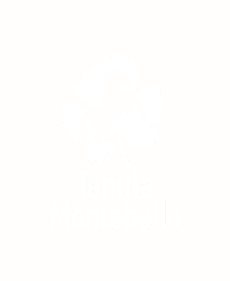 Seiterre in Tenuta Montebello